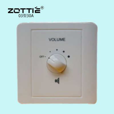 03型30A    30W音控器