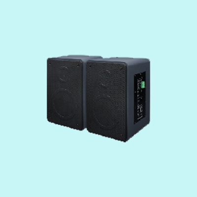 ZOTTIE ZGR8730 6、5寸低音30W云广播终端音箱