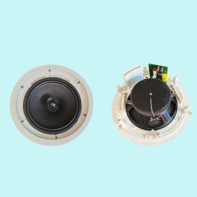 AWY-C102 10寸高保真大功率吸顶音箱